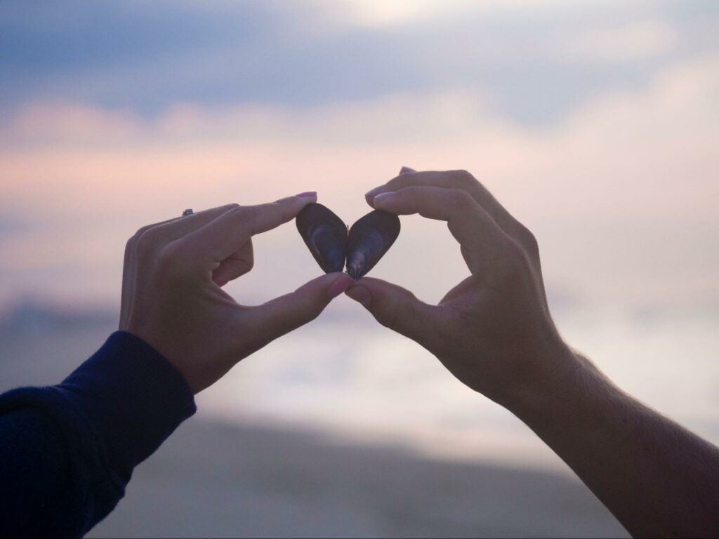 Watch the sunrise together at Takapuna Beach