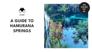 hamurana-springs-guide-banner