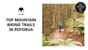 top-mountain-biking-trails-rotorua